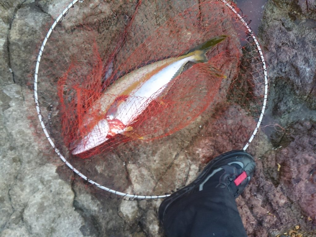 釣行記　宇竜 水尻2番