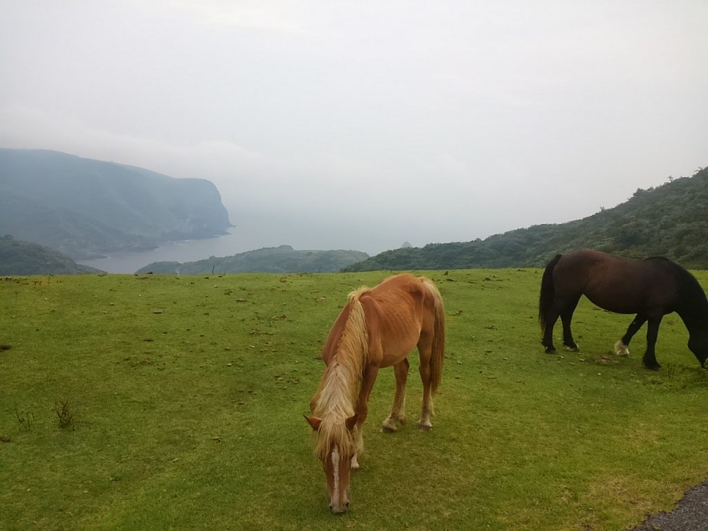 島根県隠岐の島 西ノ島 摩天崖 頂上より撮影